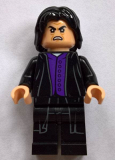LEGO hp134 Severus Snape (75956, 75953)